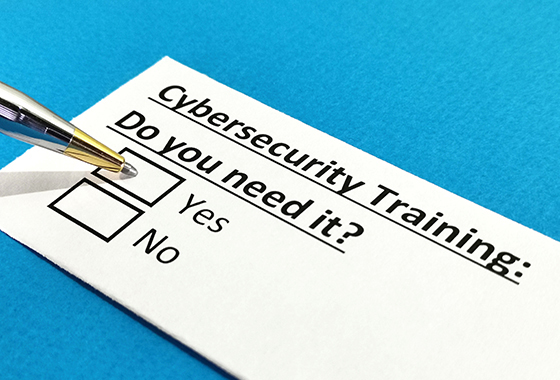 Cybersecurity training questionnaire.