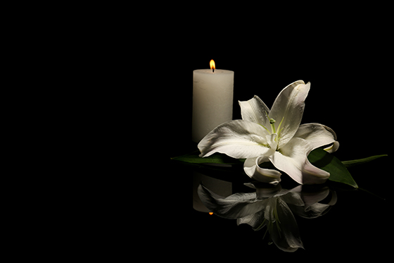 Beautiful lily and burning candle on dark background.