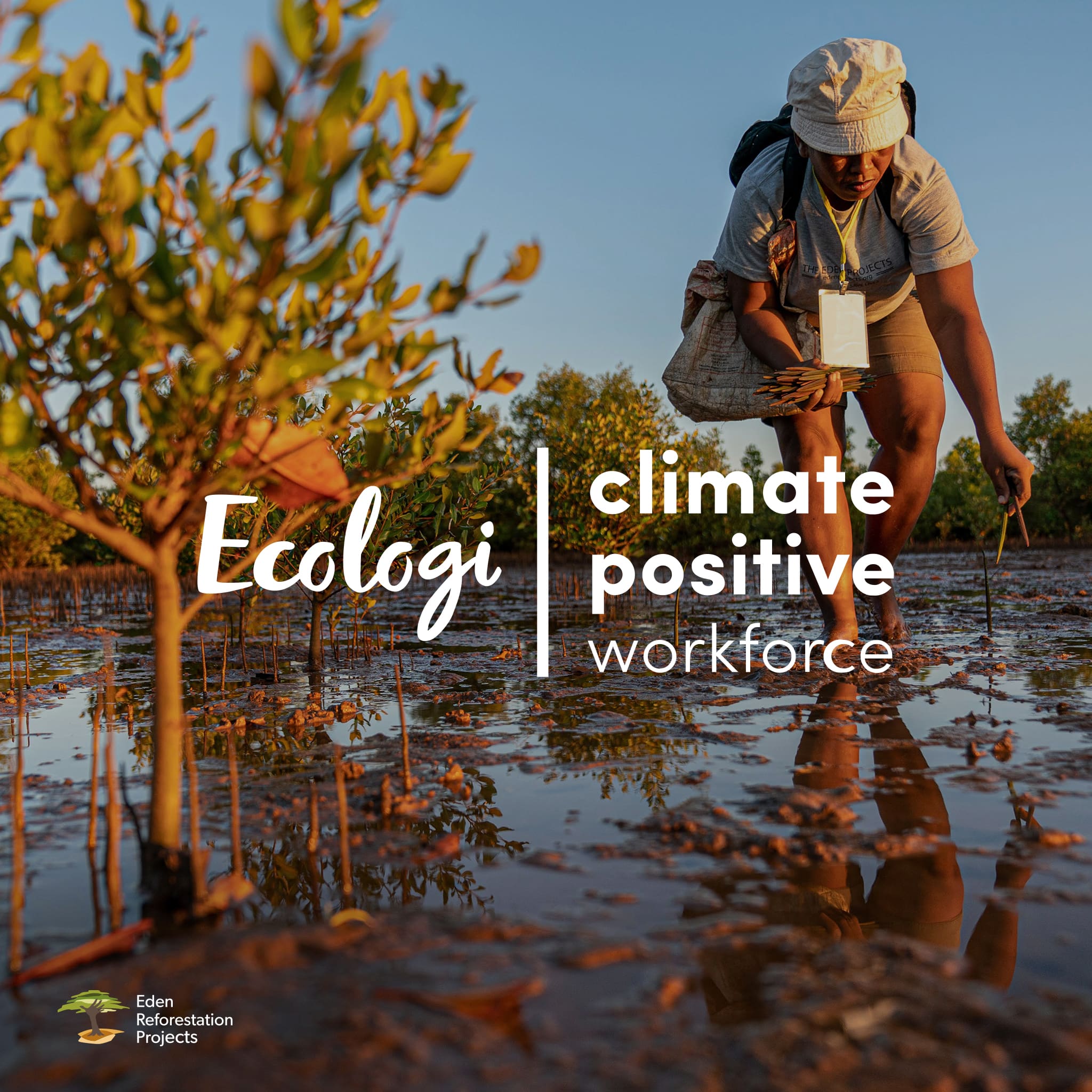 Ecologi climate positive workforce logo.